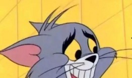 卧谈会最新爆料在哪里看,最新爆料内容及观看途径大公开